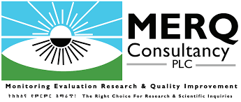 MERQ Consultancy